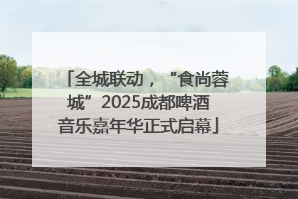 全城联动，“食尚蓉城”2025成都啤酒音乐嘉年华正式启幕