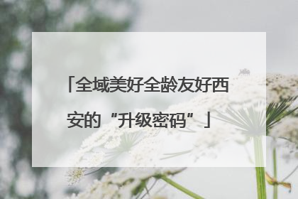 全域美好全龄友好西安的“升级密码”