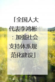 全国人大代表李鸿彬：加强社会支持体系规范化建设