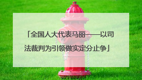 全国人大代表马丽——以司法裁判为引领做实定分止争
