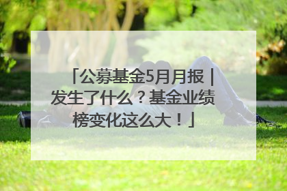 公募基金5月月报｜发生了什么？基金业绩榜变化这么大！