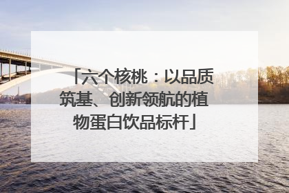六个核桃：以品质筑基、创新领航的植物蛋白饮品标杆