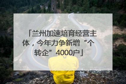 兰州加速培育经营主体，今年力争新增“个转企”4000户