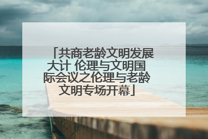 共商老龄文明发展大计 伦理与文明国际会议之伦理与老龄文明专场开幕