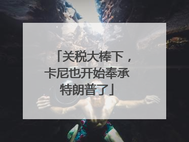 关税大棒下，卡尼也开始奉承特朗普了
