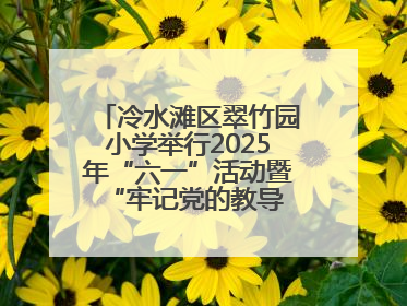 冷水滩区翠竹园小学举行2025年“六一”活动暨“牢记党的教导 争做强国少年”新队员入队仪式