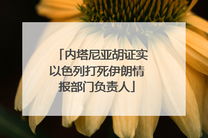 内塔尼亚胡证实以色列打死伊朗情报部门负责人
