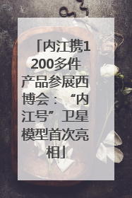 内江携1200多件产品参展西博会：“内江号”卫星模型首次亮相