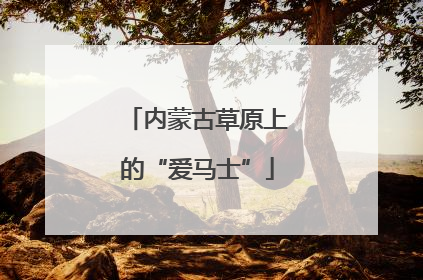 内蒙古草原上的“爱马士”