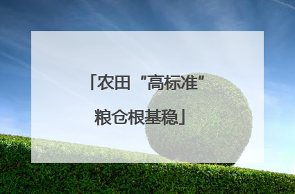 农田“高标准” 粮仓根基稳