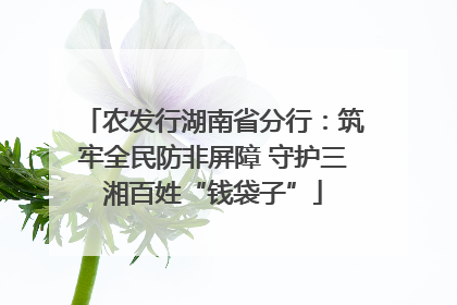 农发行湖南省分行：筑牢全民防非屏障 守护三湘百姓“钱袋子”