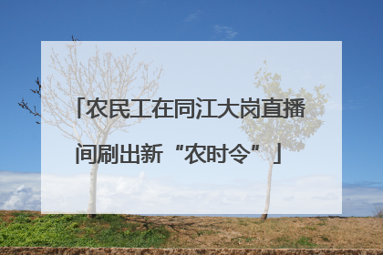 农民工在同江大岗直播间刷出新“农时令”