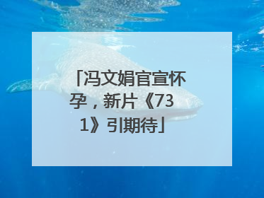 冯文娟官宣怀孕，新片《731》引期待