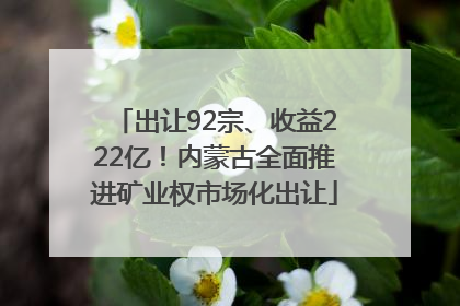 出让92宗、收益222亿！内蒙古全面推进矿业权市场化出让