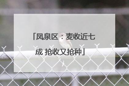 凤泉区：麦收近七成 抢收又抢种