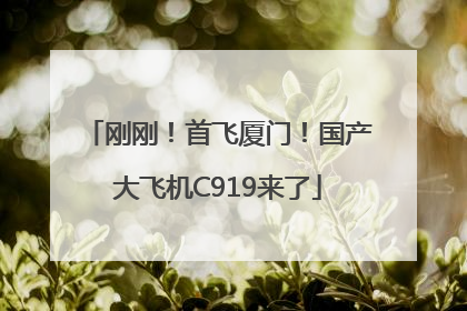 刚刚！首飞厦门！国产大飞机C919来了