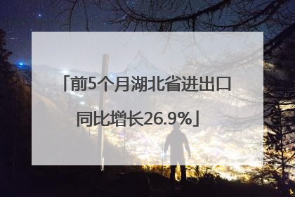前5个月湖北省进出口同比增长26.9%