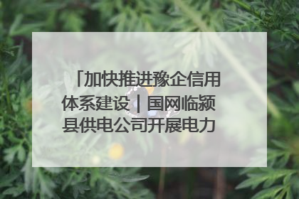 加快推进豫企信用体系建设｜国网临颍县供电公司开展电力行业信用企业现场咨询访谈工作