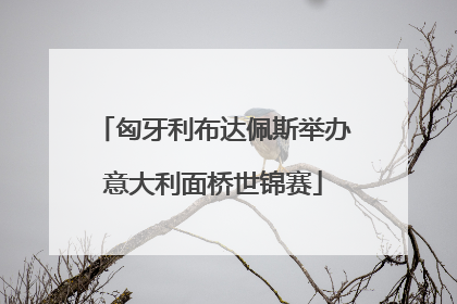 匈牙利布达佩斯举办意大利面桥世锦赛
