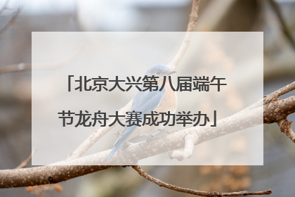北京大兴第八届端午节龙舟大赛成功举办