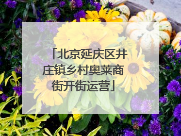 北京延庆区井庄镇乡村奥莱商街开街运营