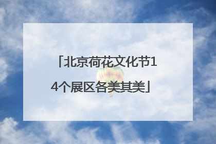北京荷花文化节14个展区各美其美