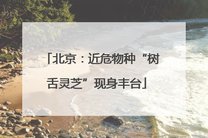 北京：近危物种“树舌灵芝”现身丰台