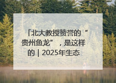 北大教授赞誉的“贵州鱼龙”，是这样的｜2025年生态文明贵阳国际论坛