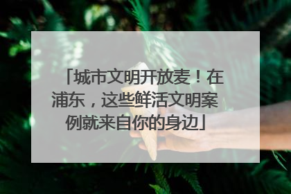 城市文明开放麦！在浦东，这些鲜活文明案例就来自你的身边