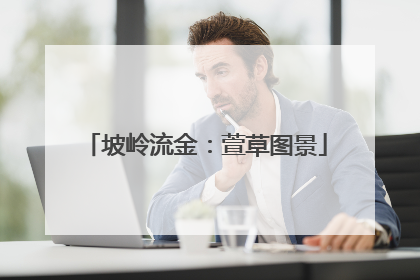 坡岭流金：萱草图景