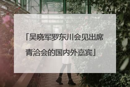 吴晓军罗东川会见出席青洽会的国内外嘉宾