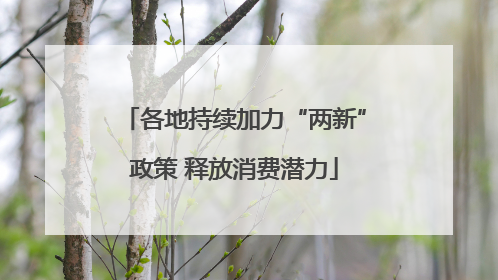 各地持续加力“两新”政策 释放消费潜力