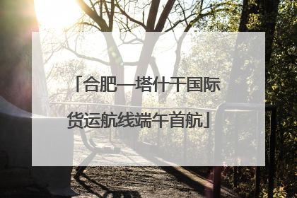 合肥—塔什干国际货运航线端午首航