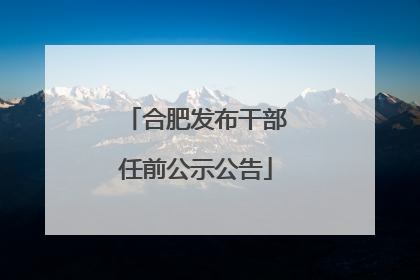 合肥发布干部任前公示公告