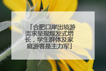 合肥口岸出境游需求呈现爆发式增长，学生群体及家庭游客是主力军