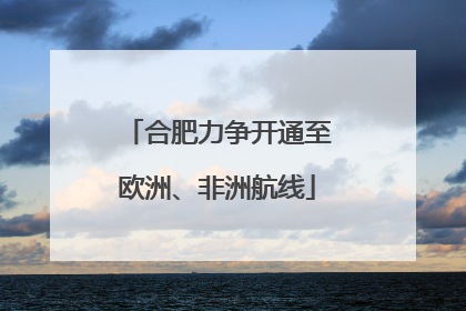 合肥力争开通至欧洲、非洲航线
