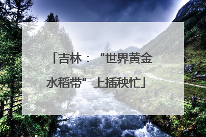 吉林：“世界黄金水稻带”上插秧忙