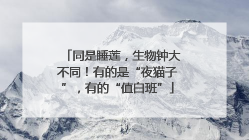 同是睡莲，生物钟大不同！有的是“夜猫子”，有的“值白班”