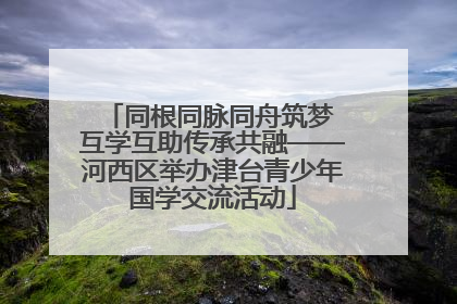同根同脉同舟筑梦 互学互助传承共融——河西区举办津台青少年国学交流活动