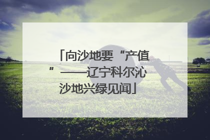 向沙地要“产值”——辽宁科尔沁沙地兴绿见闻