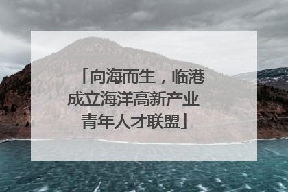 向海而生，临港成立海洋高新产业青年人才联盟