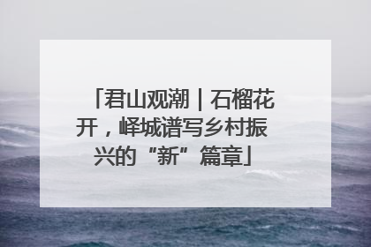 君山观潮｜石榴花开，峄城谱写乡村振兴的“新”篇章