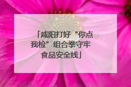 咸阳打好“你点我检”组合拳守牢食品安全线