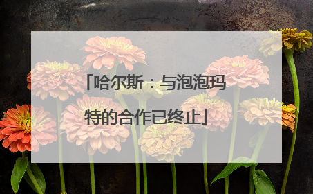 哈尔斯：与泡泡玛特的合作已终止