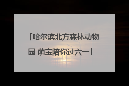 哈尔滨北方森林动物园 萌宝陪你过六一