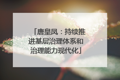 唐皇凤：持续推进基层治理体系和治理能力现代化