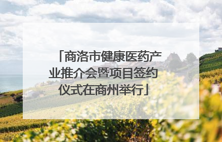 商洛市健康医药产业推介会暨项目签约仪式在商州举行
