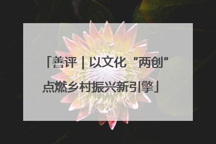 善评｜以文化“两创”点燃乡村振兴新引擎