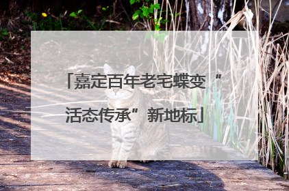 嘉定百年老宅蝶变“活态传承”新地标
