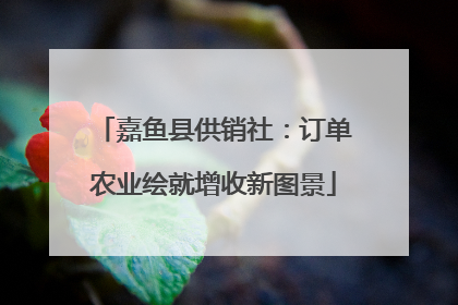 嘉鱼县供销社：订单农业绘就增收新图景